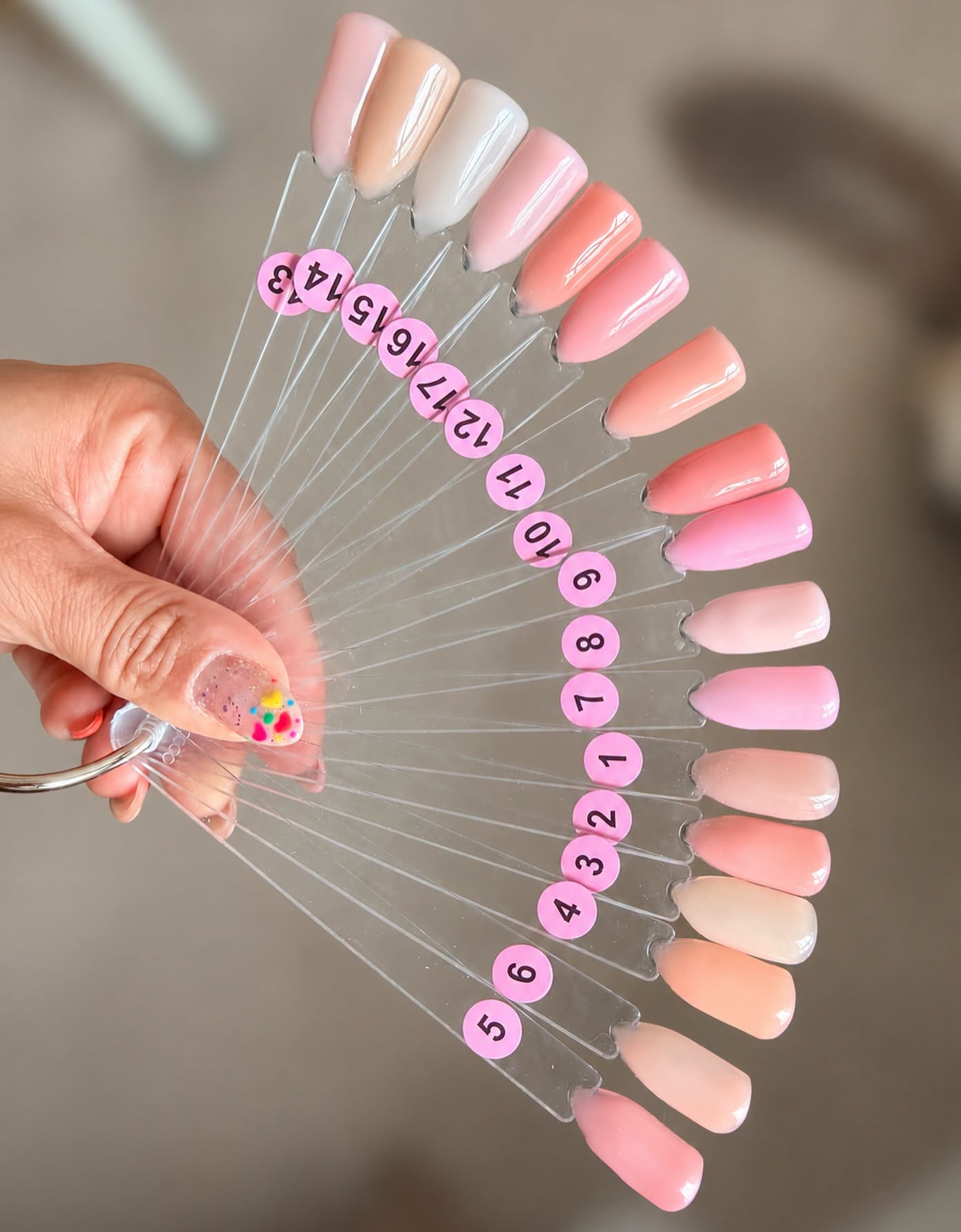 Nail polish colour swatch wheel with numbered samples